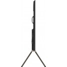 Телевизор Skyworth 100Q79H