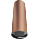 Кухонная вытяжка MAUNFELD Lee Isla 39 (медный)