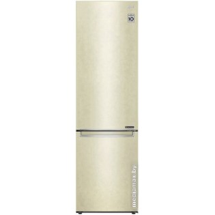 Холодильник LG DoorCooling+ GC-B509SECL
