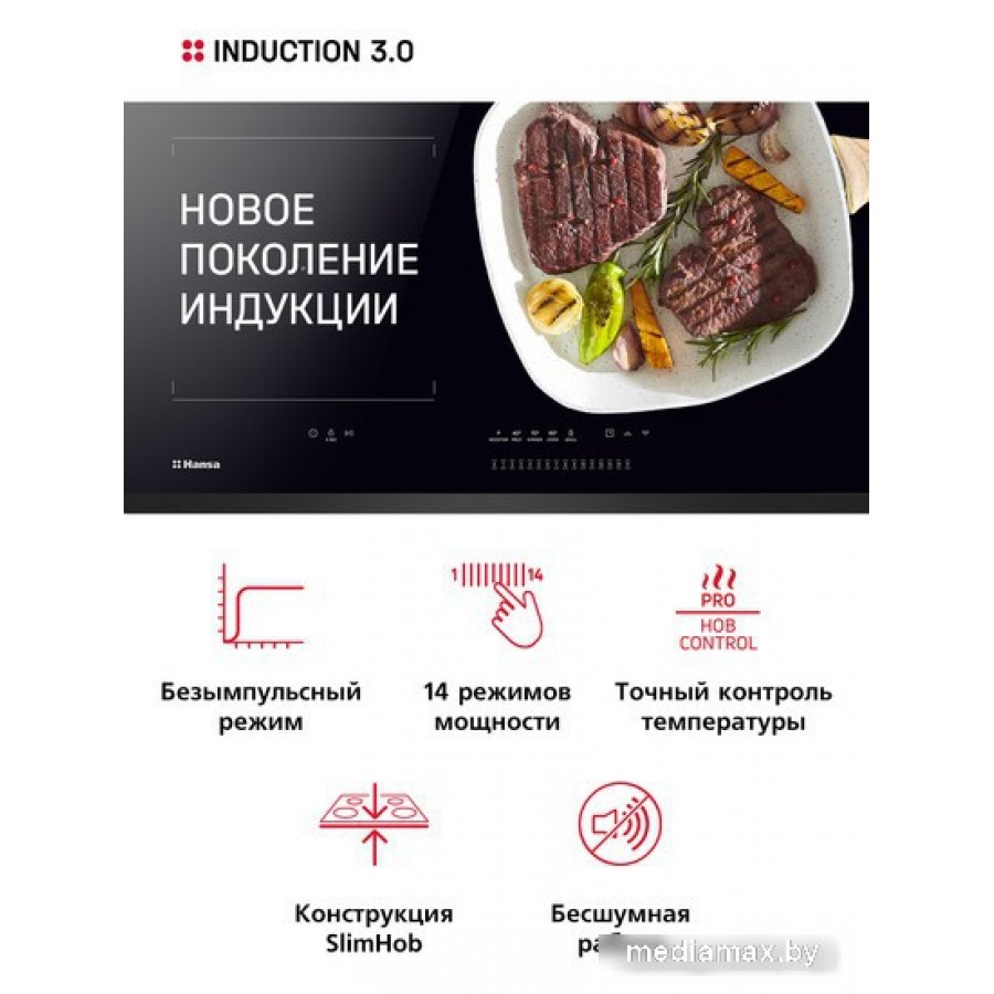 Варочная панель Hansa BHI67116