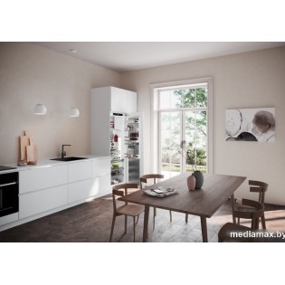 Однокамерный холодильник Liebherr IRBd 5171 Peak