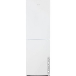 Холодильник Бирюса 6031