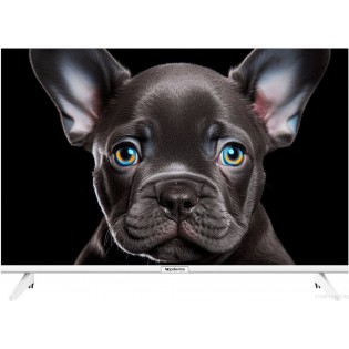 Телевизор Topdevice 24" OS SALUTE TV (белый)