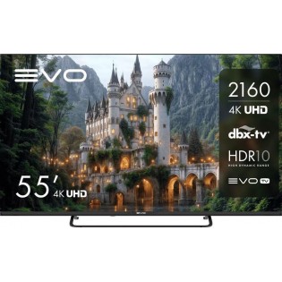 Телевизор Evo TV 55 Black TD0051754RU