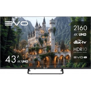 Телевизор Evo TV 43 Black TD0051752RU