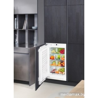 Однокамерный холодильник Liebherr SIBP 1650