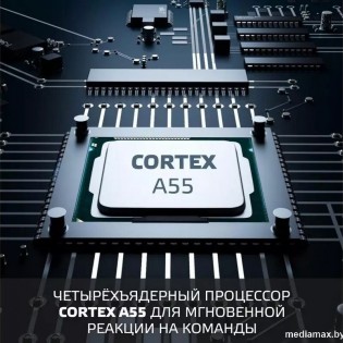 Телевизор Skyline 43LST6385