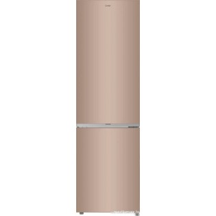 Холодильник Candy CFN6200G