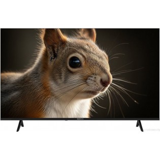 Телевизор Topdevice 43" SALUTE TV TDWC43BF4260V