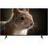 Телевизор Topdevice 43" SALUTE TV TDWC43BF4260V