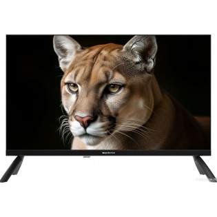Телевизор Topdevice 24" TDWC24BH1000I