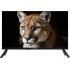 Телевизор Topdevice 24" TDWC24BH1000I