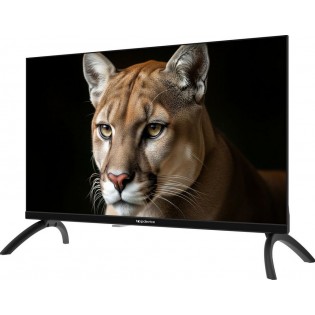 Телевизор Topdevice 24" TDWC24BH1000I