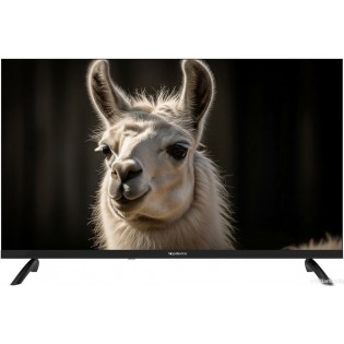 Телевизор Topdevice 32" WILDRED TDWC32BH2210V