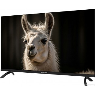 Телевизор Topdevice 32" WILDRED TDWC32BH2210V