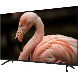Телевизор Topdevice 43" WILDRED TDWC43BF2110V