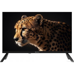 Телевизор Topdevice 24" WILDRED TDWC24BH2210I