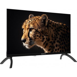 Телевизор Topdevice 24" WILDRED TDWC24BH2210I