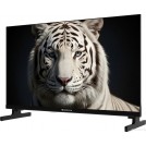 Телевизор Topdevice 24" Google TV TDWC24BH5260V